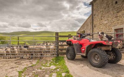 Advantages of Opting for Comprehensive Smallholders Insurance Cover