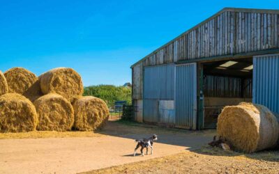 Understanding Legal Requirements for Smallholders in the UK