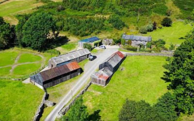 Choosing the Right Insurance Provider for Your Smallholding